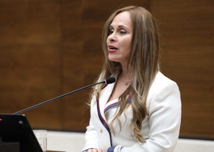 Presidenta del Congreso pide a diputados “bajar revoluciones” en el Plenario