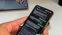 CCSS habilita asistente virtual por WhatsApp para consultas sobre pensiones