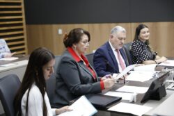 Proyecto de ley propone hasta 8 años de cárcel por llamados a la violencia o al desorden público